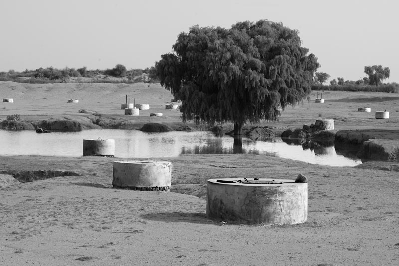 Nature-based Solutions for Drinking Water - rainfed pond ('johad') along with a cluster of shallow drinking water wells ('kuiyan') in its catchment in Bikaner district, Rajasthan